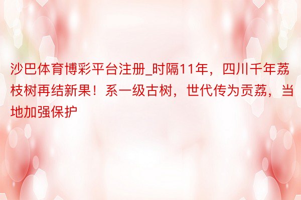 沙巴体育博彩平台注册_时隔11年，四川千年荔枝树再结新果！系一级古树，世代传为贡荔，当地加强保护