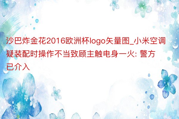 沙巴炸金花2016欧洲杯logo矢量图_小米空调疑装配时操作不当致顾主触电身一火: 警方已介入