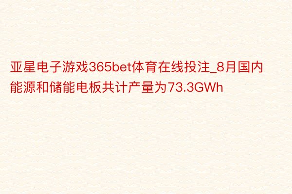 亚星电子游戏365bet体育在线投注_8月国内能源和储能电板共计产量为73.3GWh